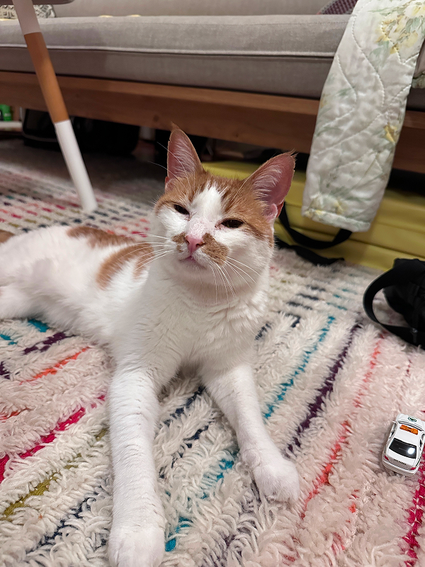 Soleil giving the most suss eyes in Sunset Park