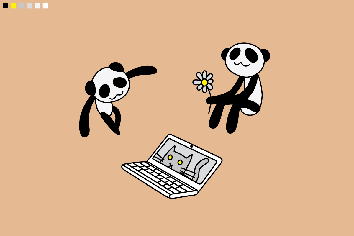 2 pandas floating, contemplating life, plus a bonus cat laptop