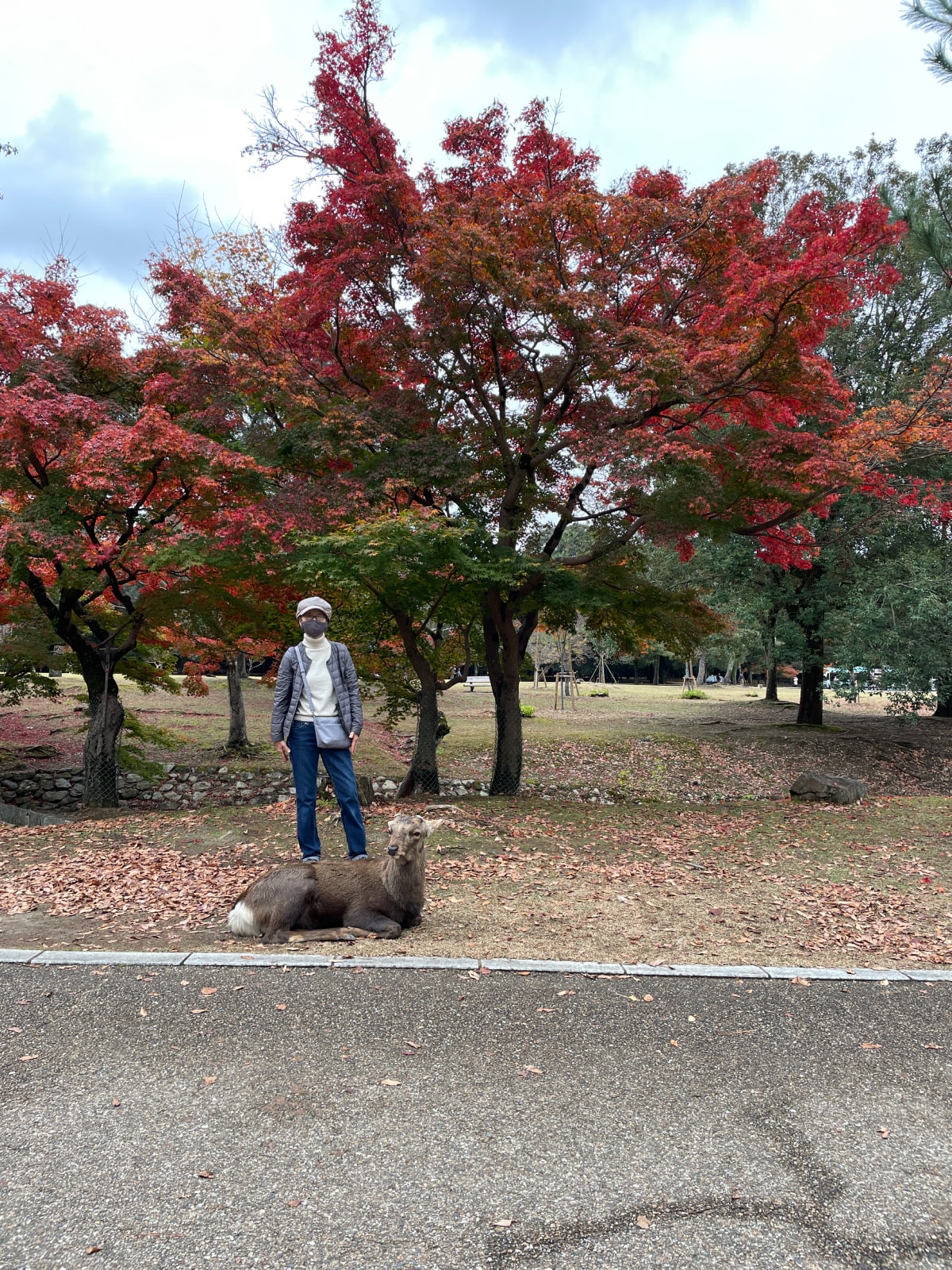 My mom (standing) and a male deer (sitting) in front of some fall leaves in Nara Park.