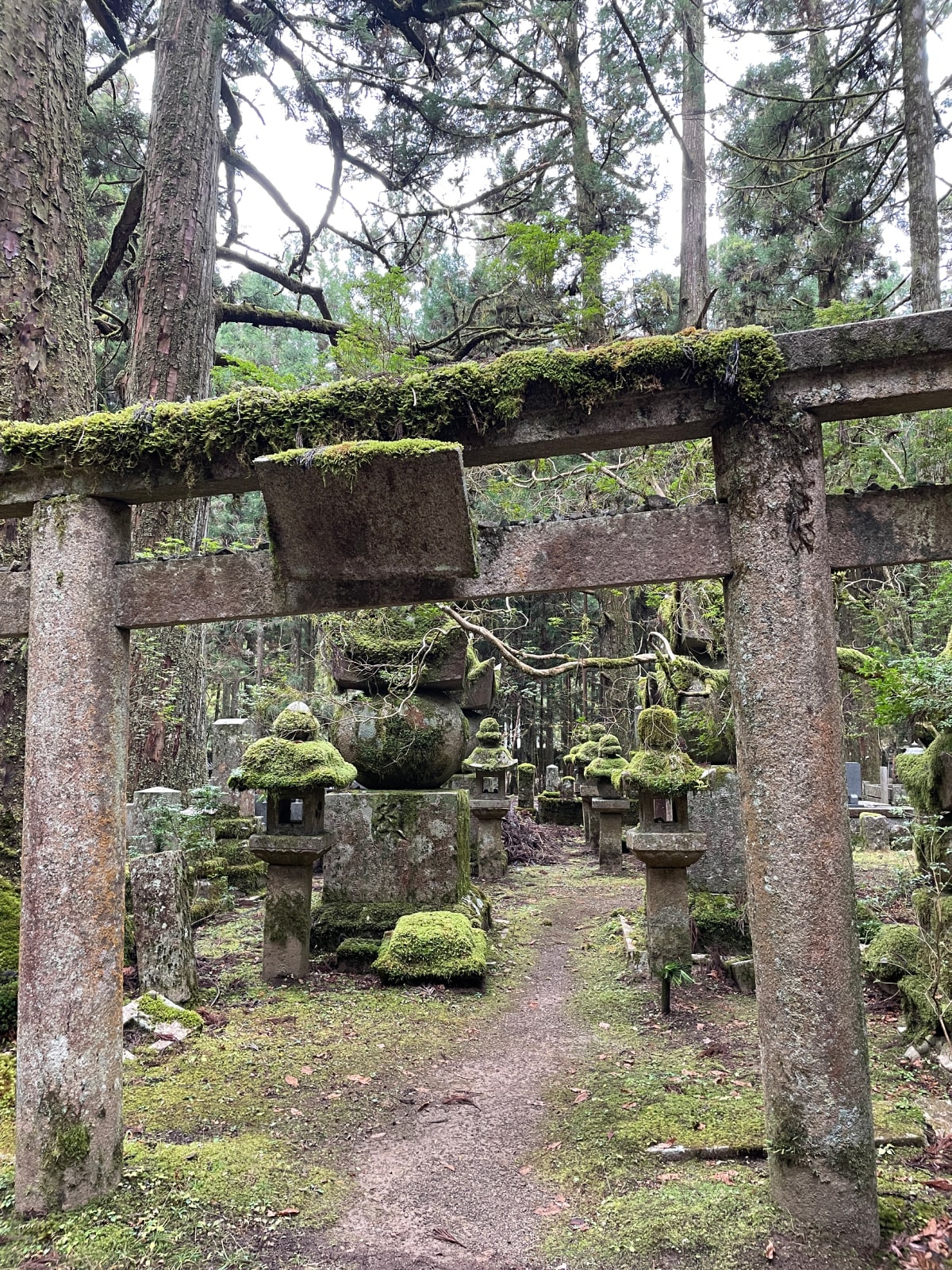 Moss on old gravestones at Kōyasan.