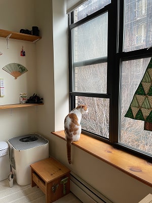 Soleil lookin out the windoq